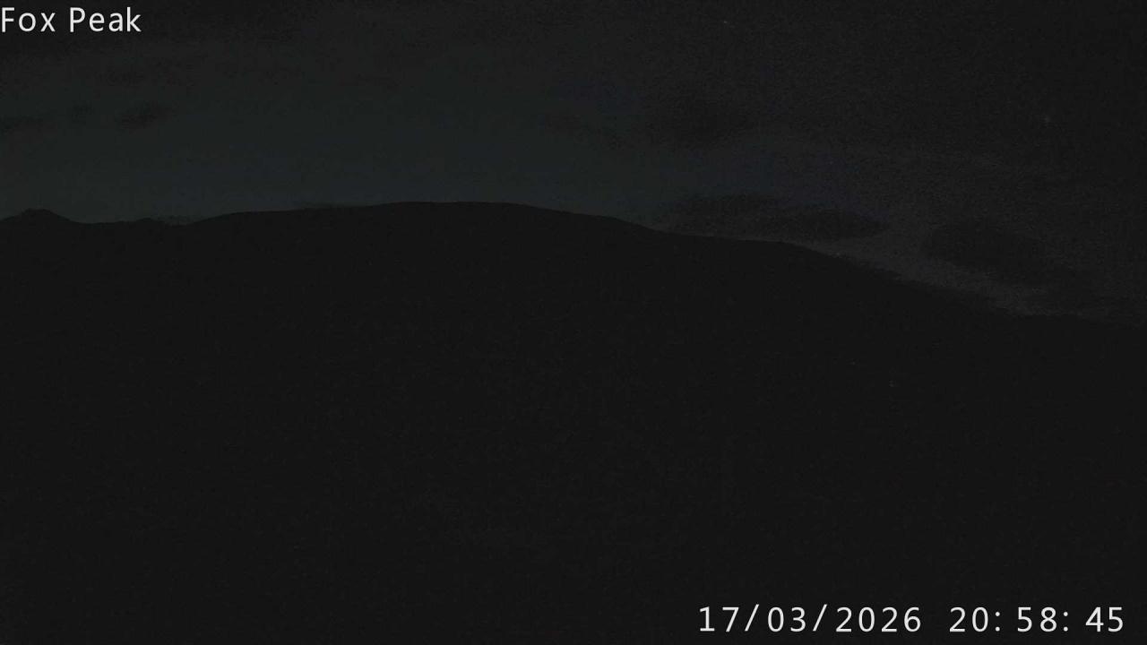 Webcam Fox Peak: Learners