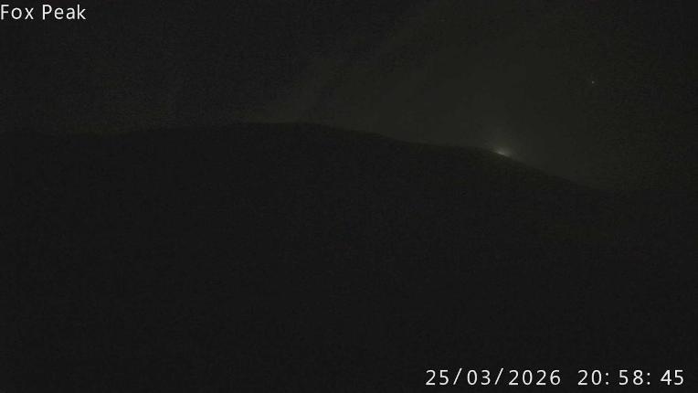 Webcam Fox Peak: Learners