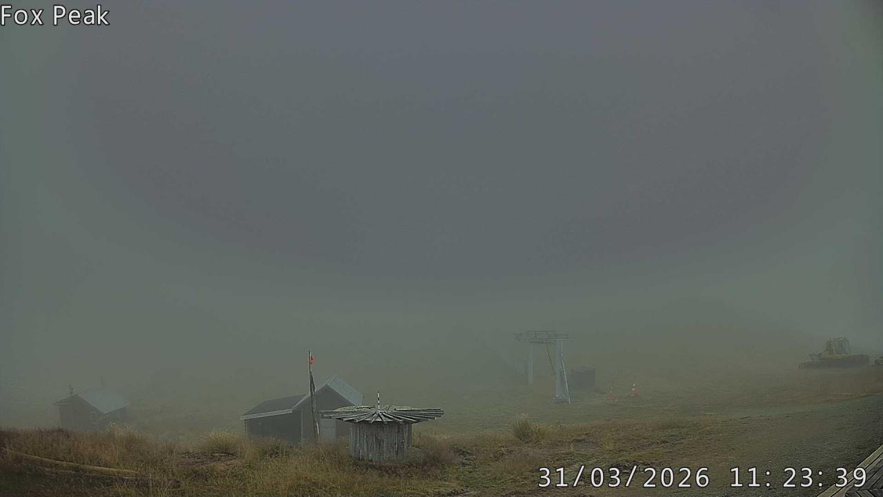 Webcam Fox Peak: Learners