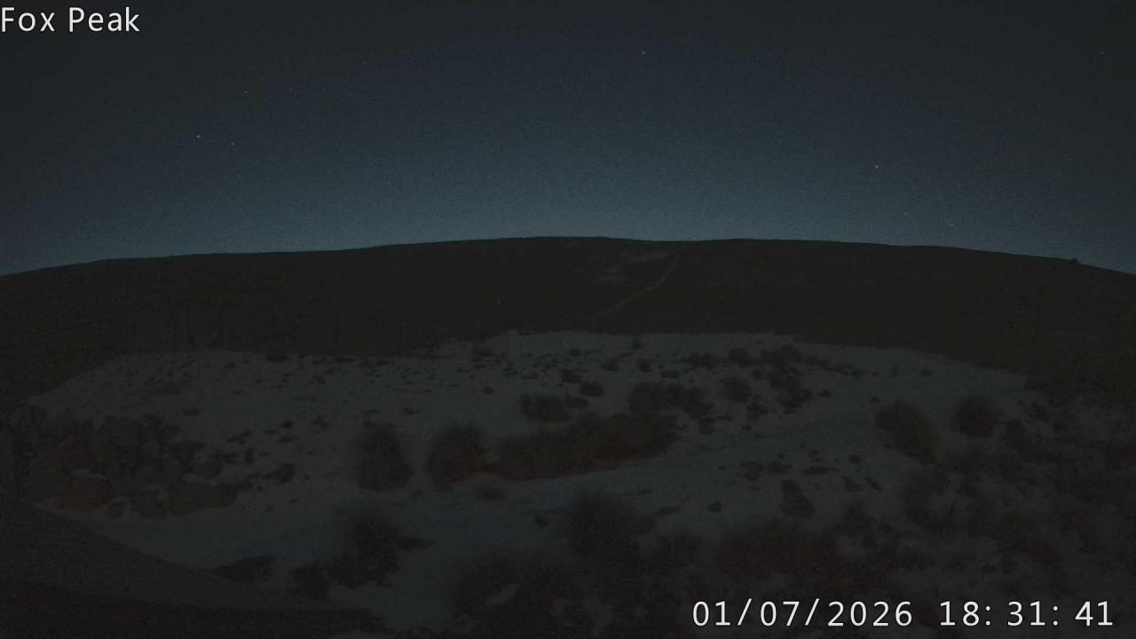 Webcam Fox Peak: Shirt Front