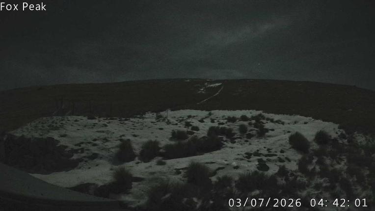 Webcam Fox Peak: Shirt Front