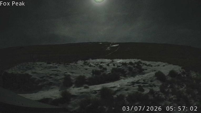 Webcam Fox Peak: Shirt Front