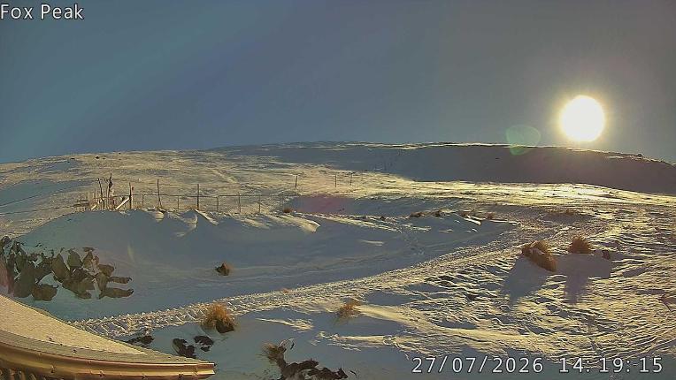 Webcam Fox Peak: Shirt Front