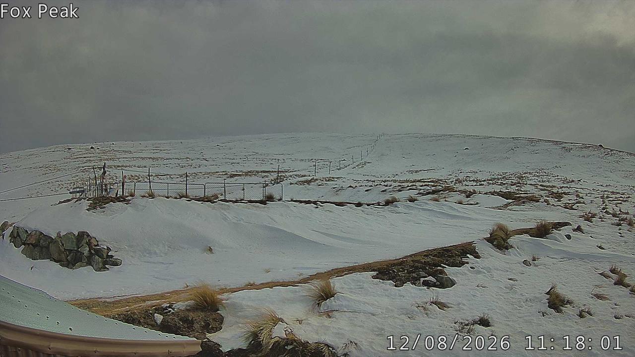 Webcam Fox Peak: Shirt Front