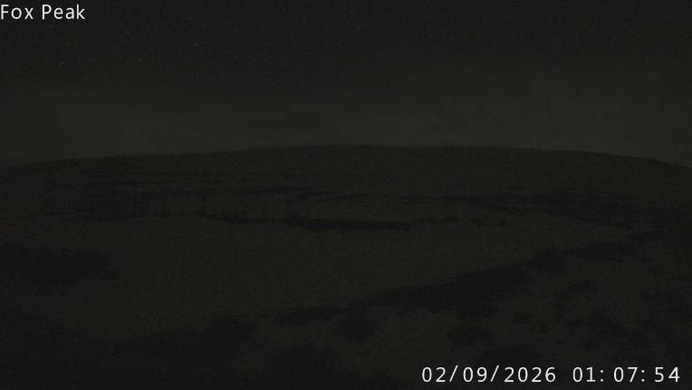 Webcam Fox Peak: Shirt Front
