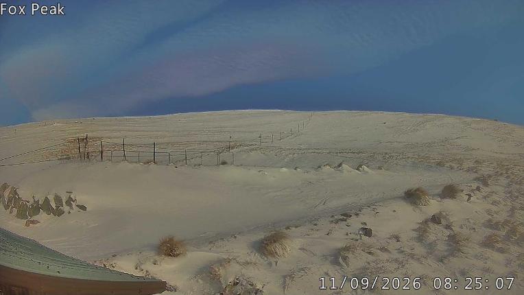 Webcam Fox Peak: Shirt Front