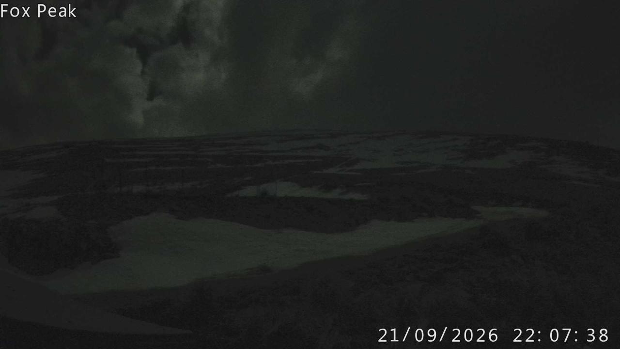Webcam Fox Peak: Shirt Front