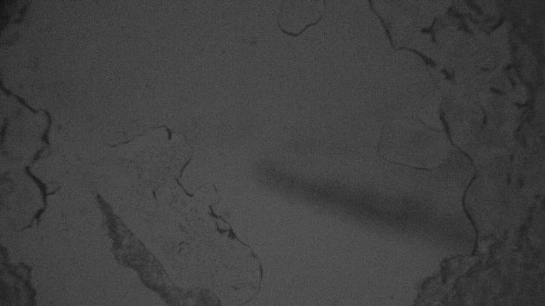 Webcam Fuentes de Invierno: Zona media