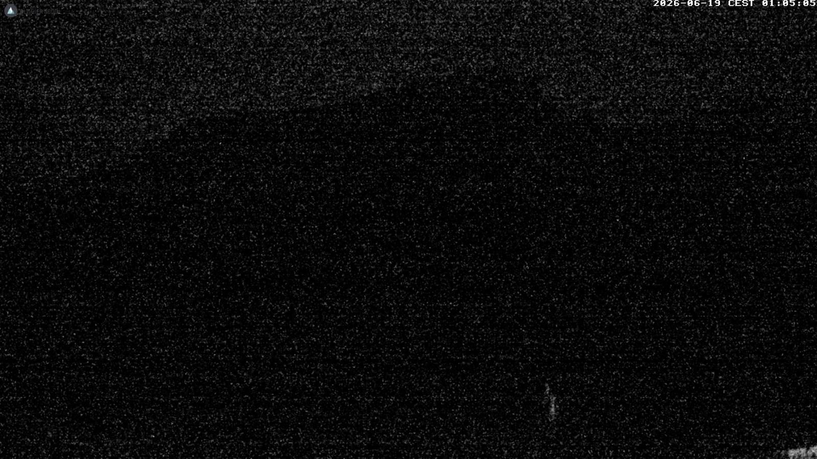 Webcam Glacier 3000: Col du Pillon 1546m