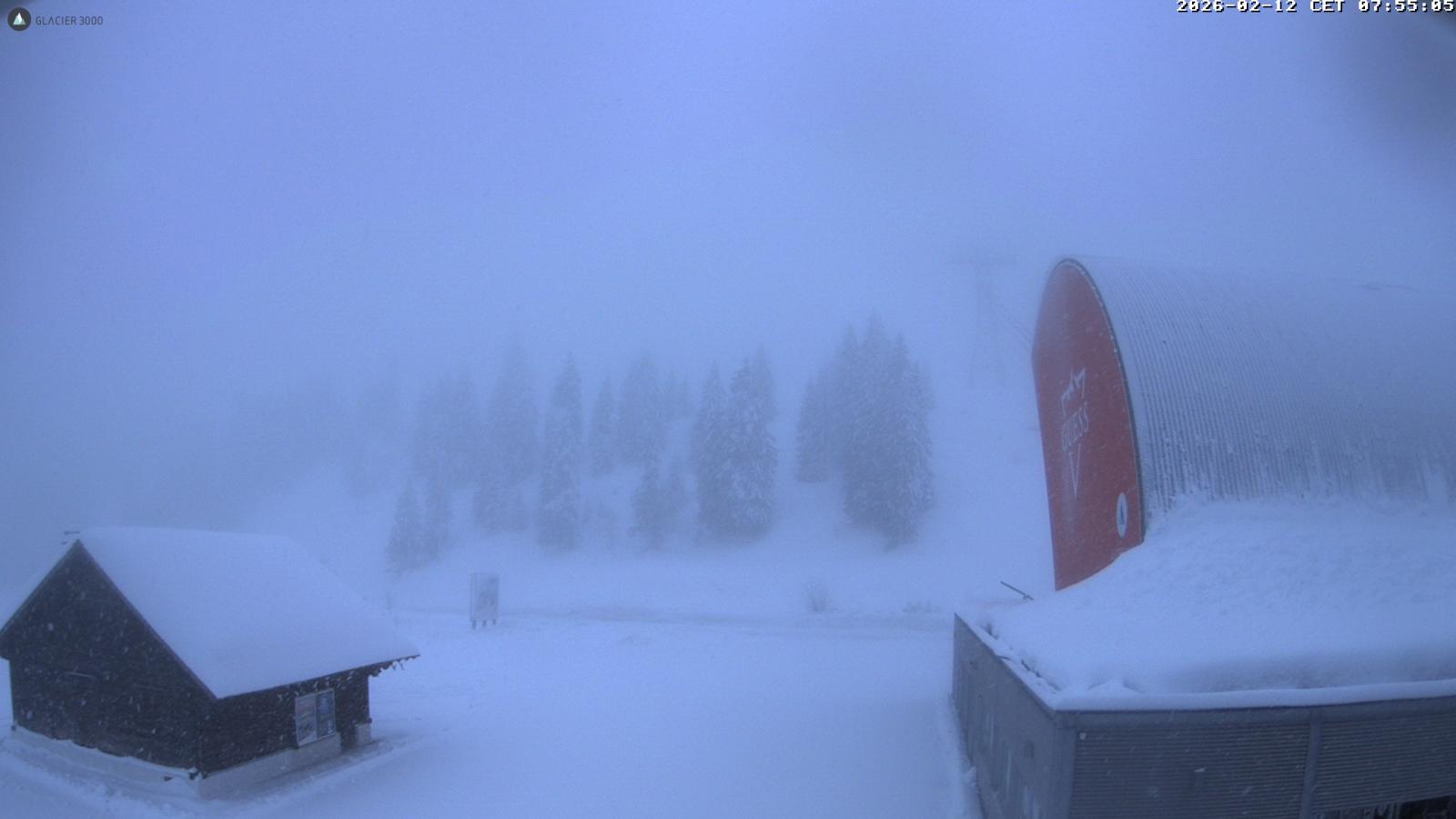 Webcam Glacier 3000: Col du Pillon 1546m