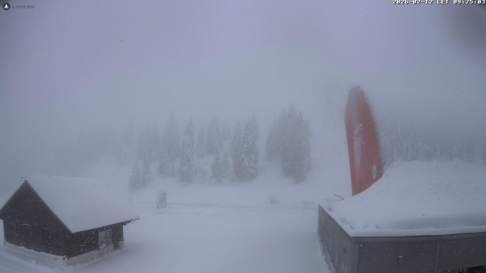 Webcam Glacier 3000: Col du Pillon 1546m