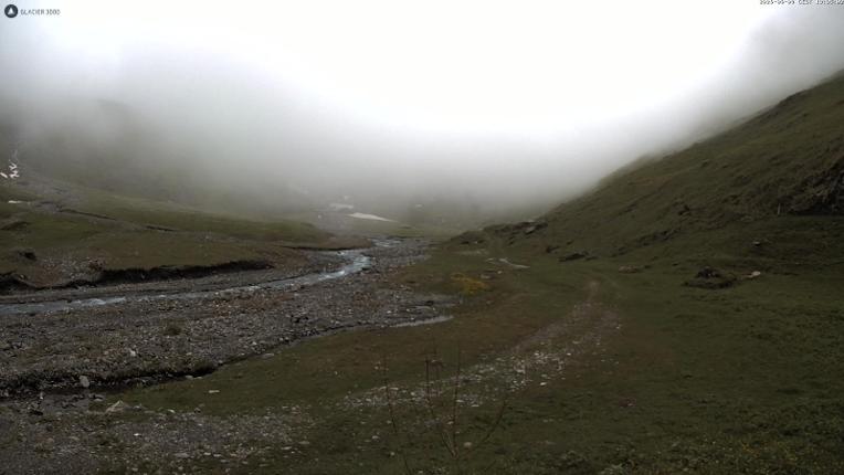 Webcam Glacier 3000: Oldenalp 1834m