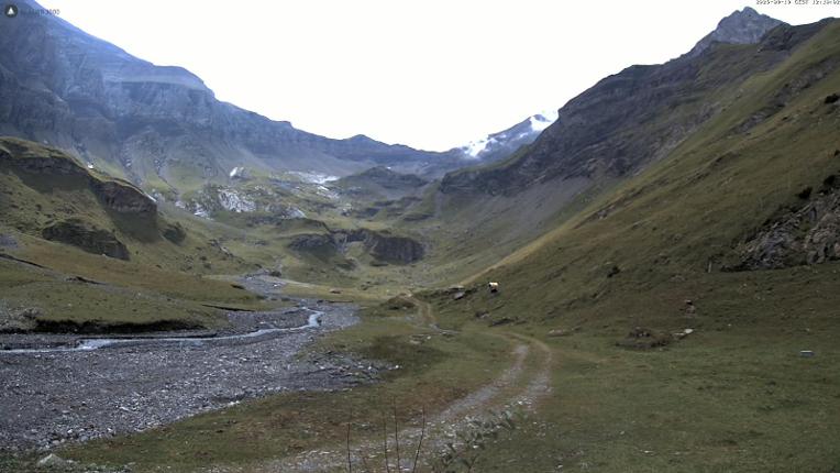 Webcam Glacier 3000: Oldenalp 1834m