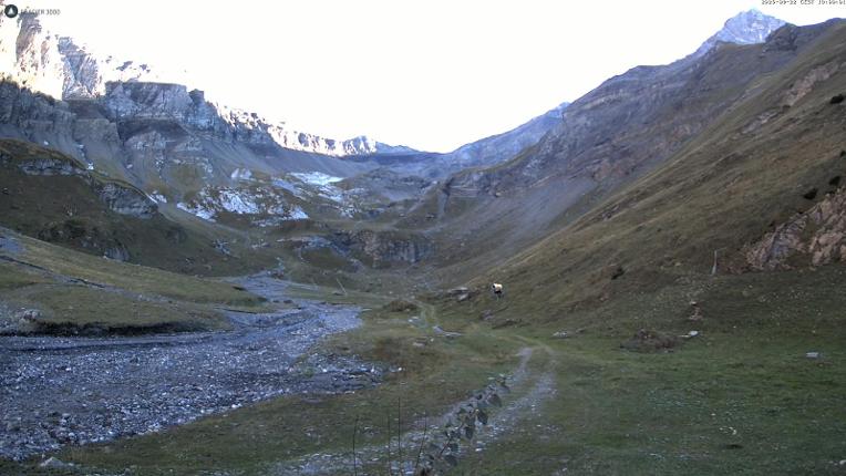 Webcam Glacier 3000: Oldenalp 1834m