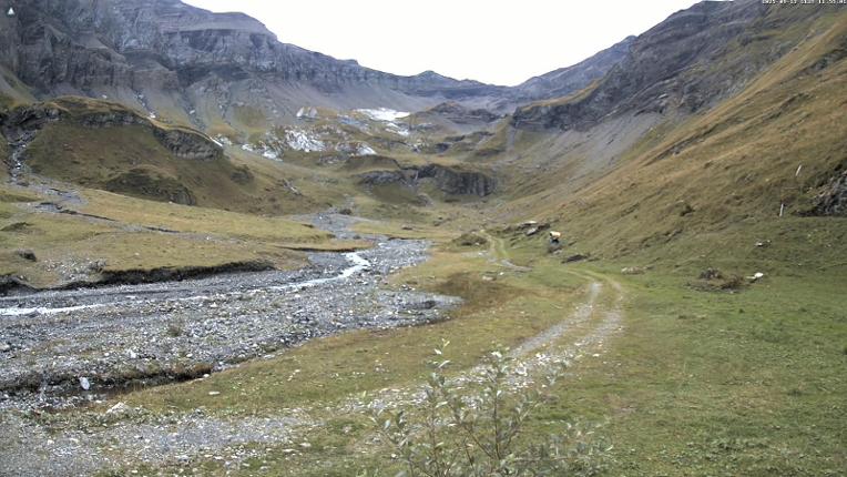 Webcam Glacier 3000: Oldenalp 1834m