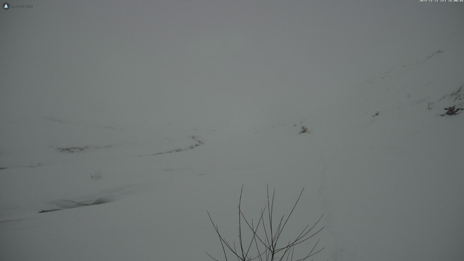 Webcam Glacier 3000: Oldenalp 1834m