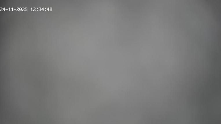 Webcam Gourette: Pene Blanque