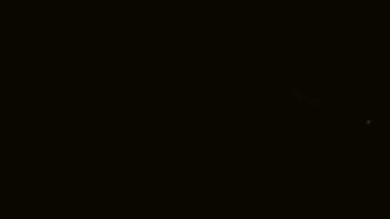 Imagen de informe de usuario en Gourette