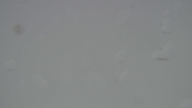 Webcam Grandvalira: Encamp-Cortals