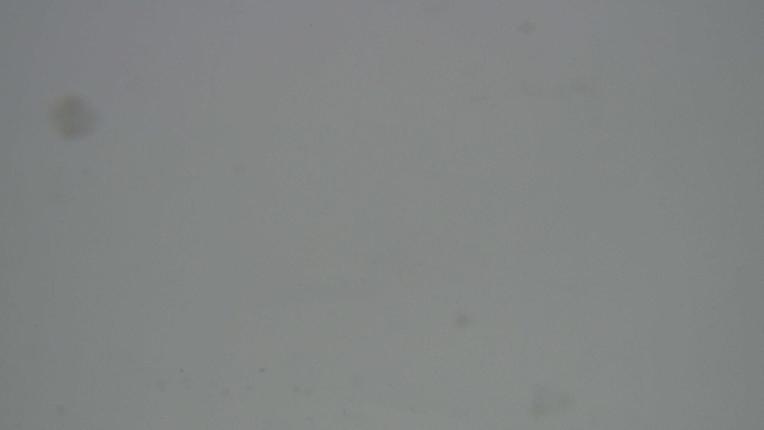 Webcam Grandvalira: Encamp-Cortals