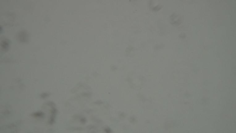 Webcam Grandvalira: Encamp-Cortals