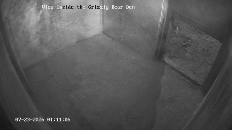 Webcam Grouse Mountain: Bear Den Cam