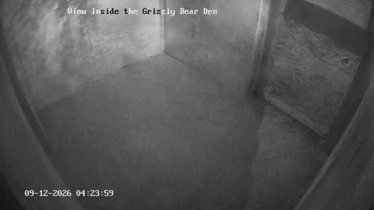 Webcam Grouse Mountain: Bear Den Cam