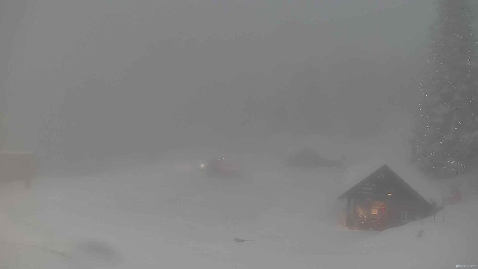 Webcam Grouse Mountain: Chalet Cam