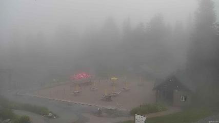 Grouse Mountain webcam