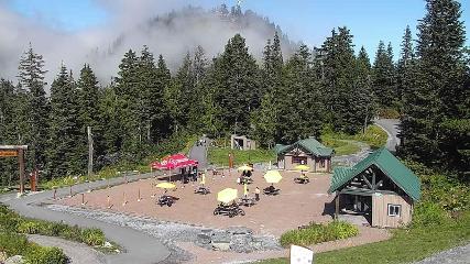 Grouse Mountain webcam