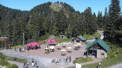 Grouse Mountain webcam