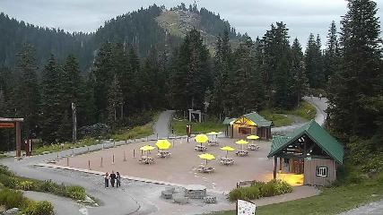 Grouse Mountain: Chalet Cam (grousemountain.com)