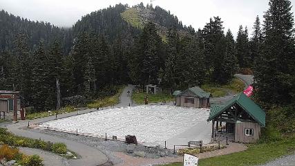 Grouse Mountain webcam