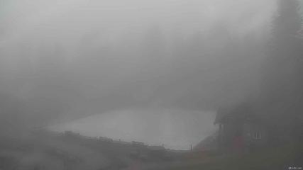 Grouse Mountain webcam