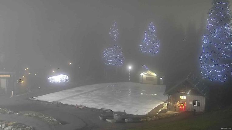 Webcam Grouse Mountain: Chalet Cam