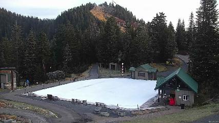 Grouse Mountain webcam