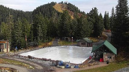 Grouse Mountain: Chalet Cam (grousemountain.com)