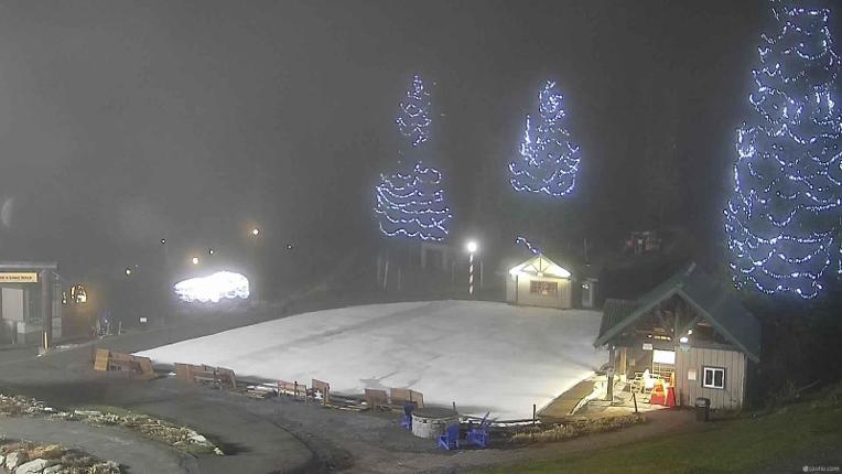 Webcam Grouse Mountain: Chalet Cam