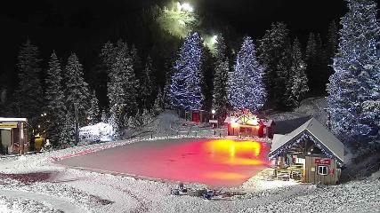 Grouse Mountain: Chalet Cam (grousemountain.com)