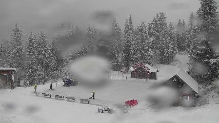 Grouse Mountain: Chalet Cam (grousemountain.com)