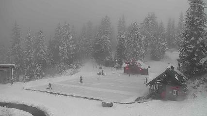 Grouse Mountain webcam