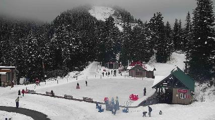 Grouse Mountain: Chalet Cam (grousemountain.com)