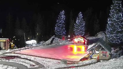 Grouse Mountain: Chalet Cam (grousemountain.com)