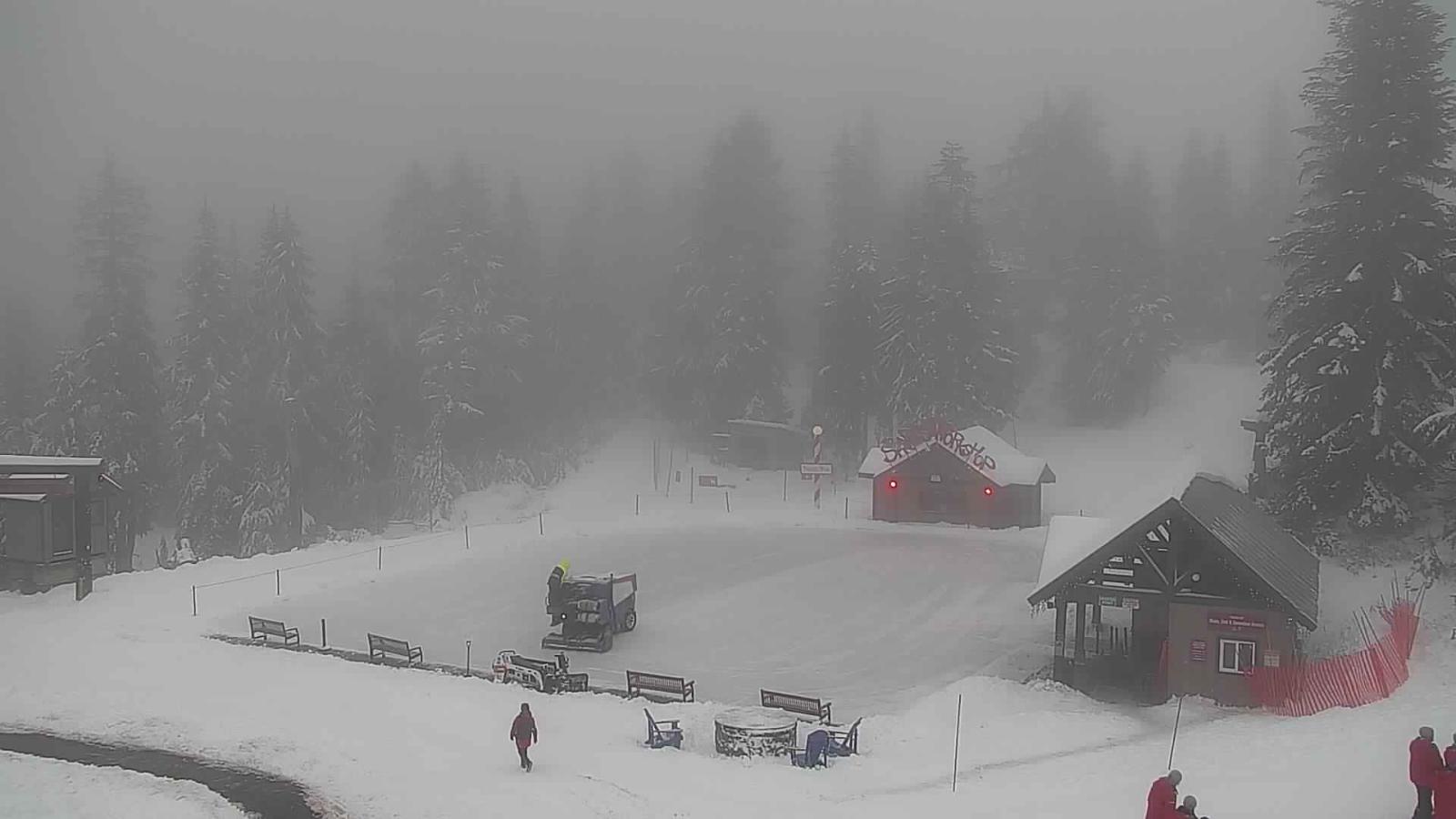 Webcam Grouse Mountain: Chalet Cam