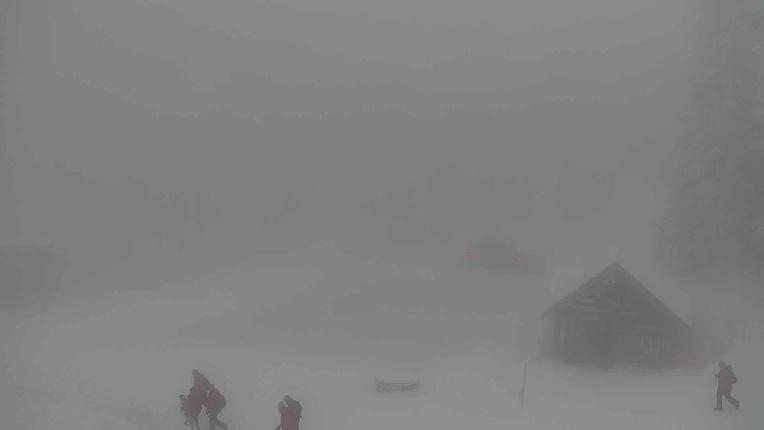 Webcam Grouse Mountain: Chalet Cam