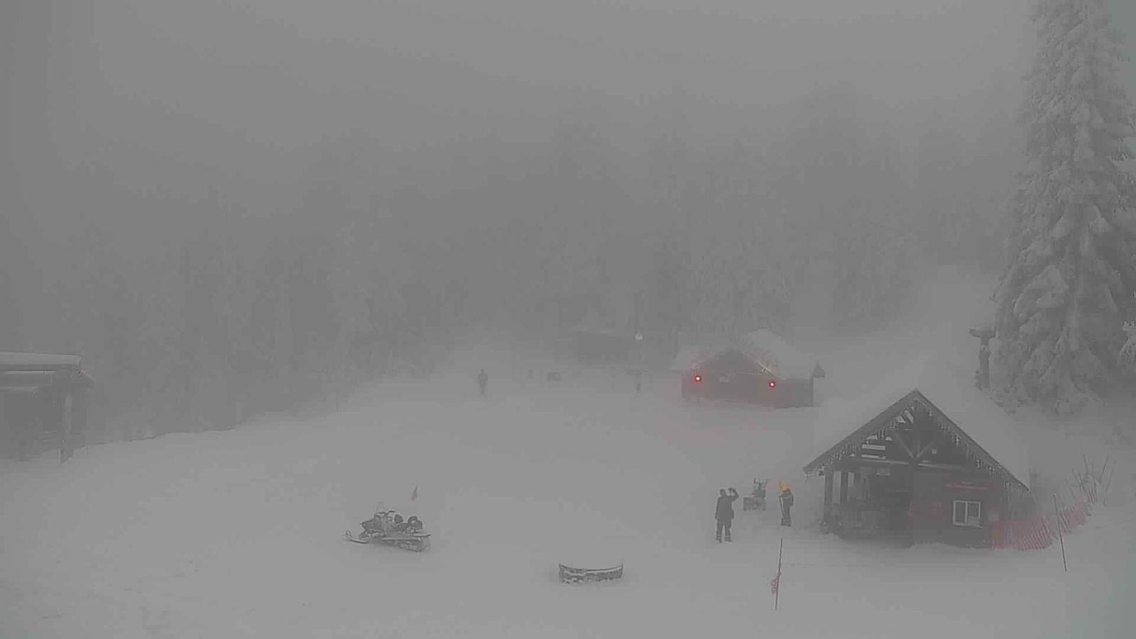 Webcam Grouse Mountain: Chalet Cam