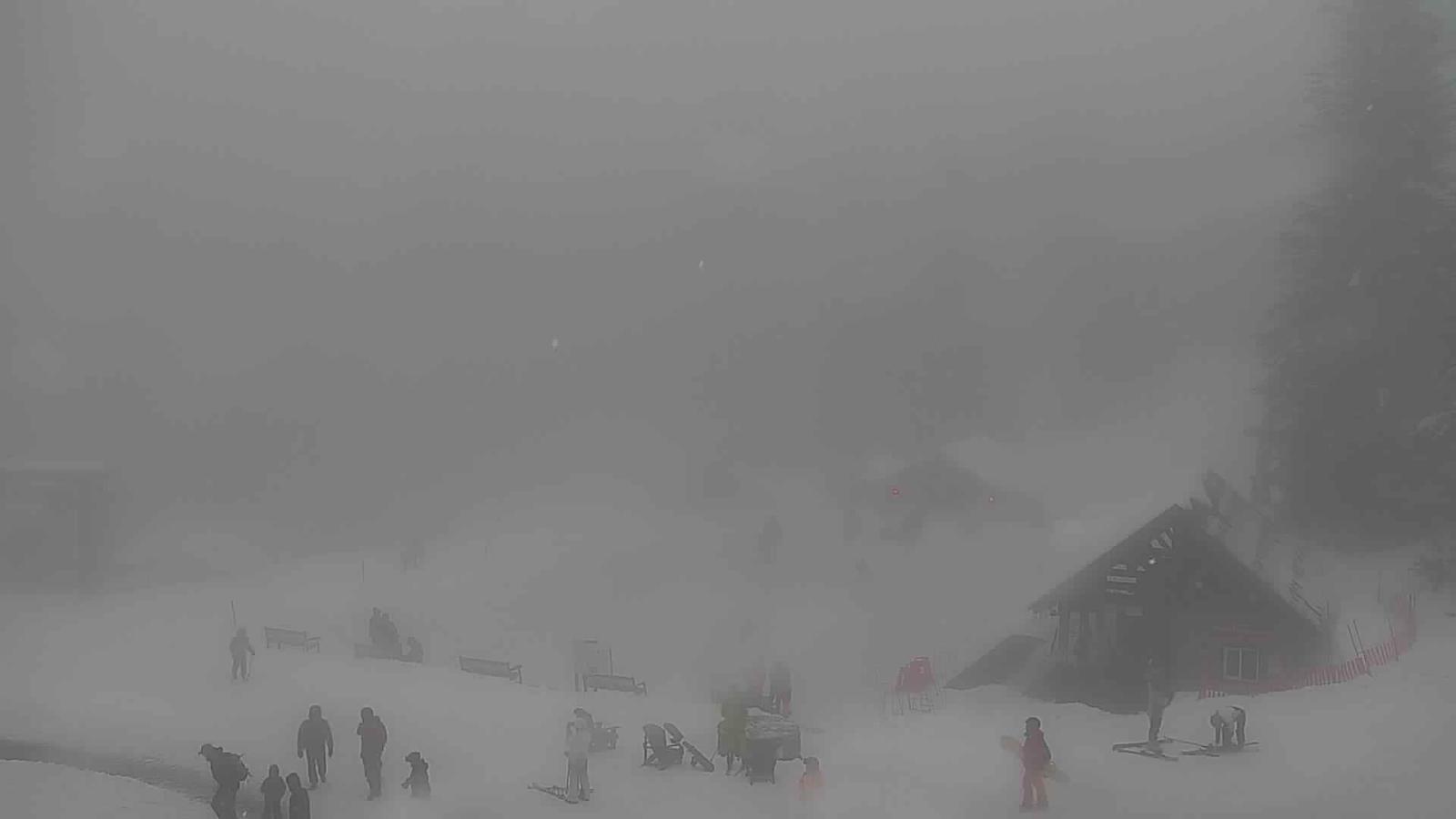 Webcam Grouse Mountain: Chalet Cam