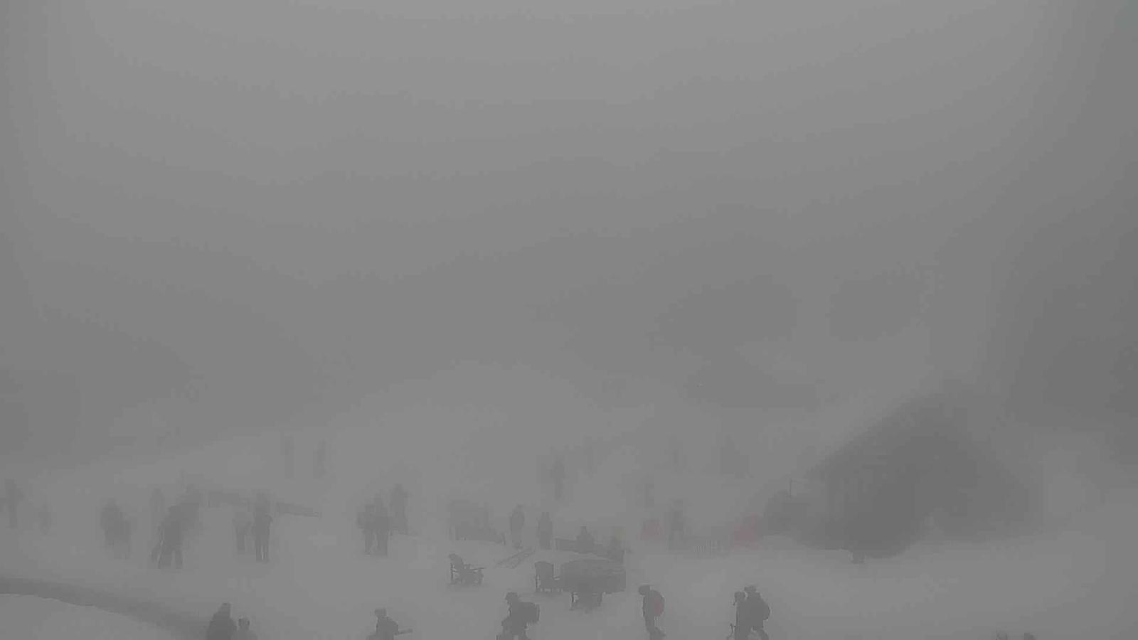Webcam Grouse Mountain: Chalet Cam