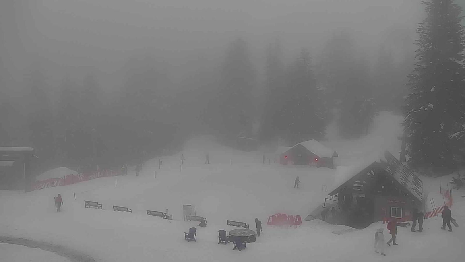 Webcam Grouse Mountain: Chalet Cam