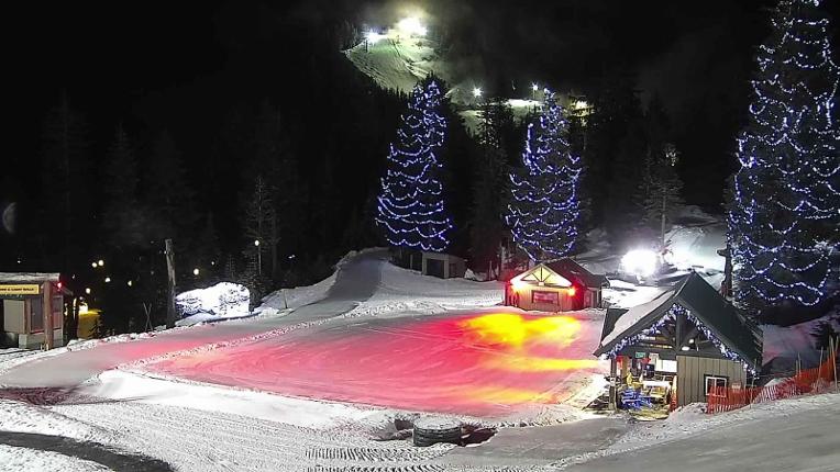 Webcam Grouse Mountain: Chalet Cam